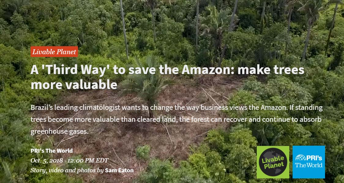 A ‘Third Way’ to save the Amazon: make the standing forest itself more valuable