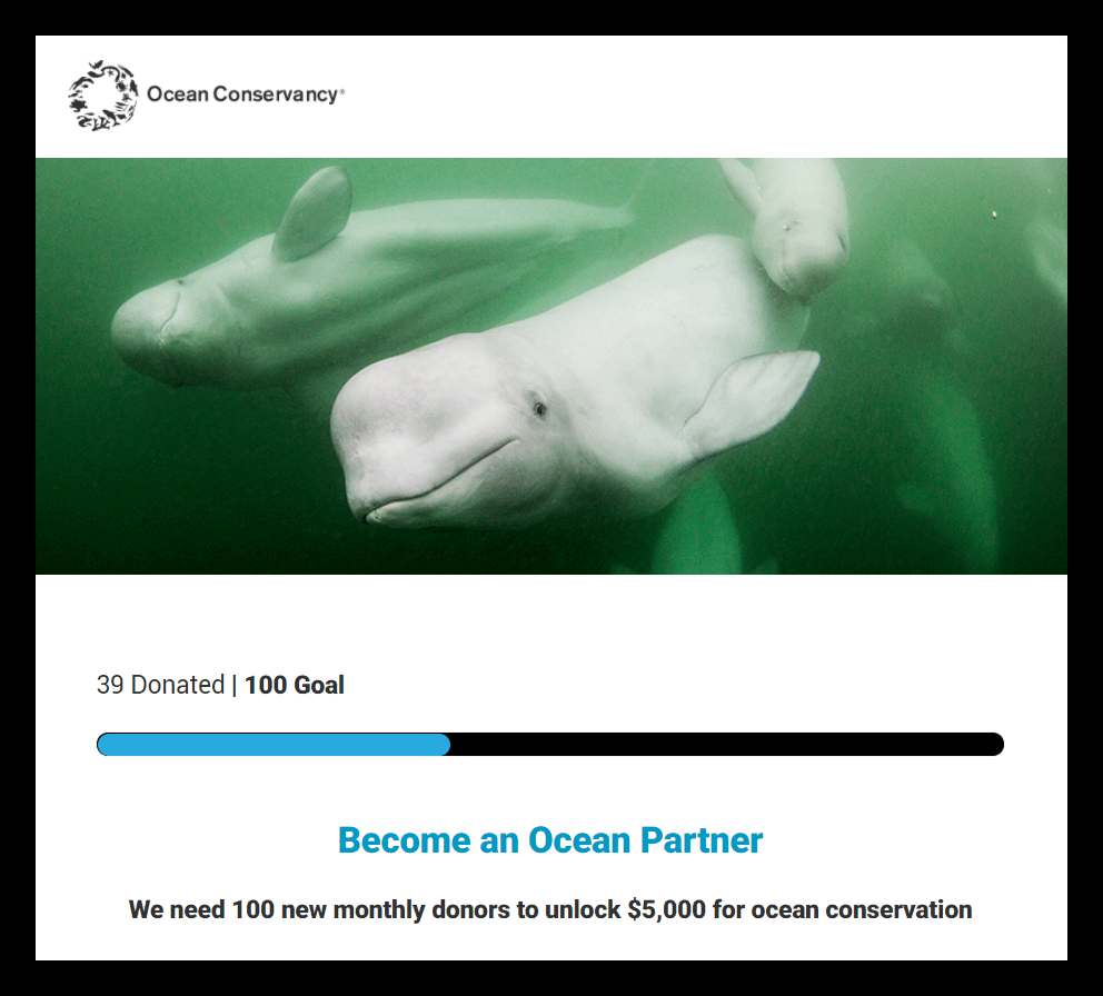 Our Ocean Needs YOU