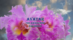 Avatar ABOUT File