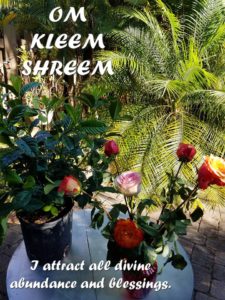 Om Kleen Shreem