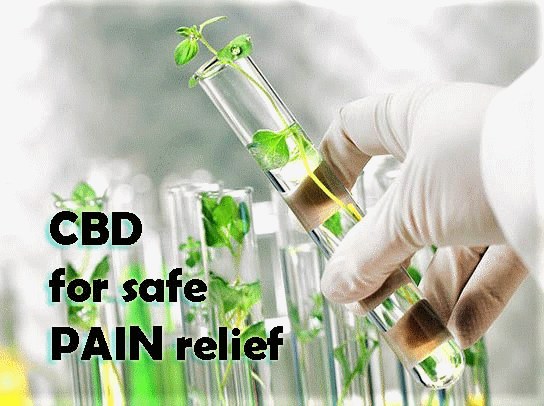 Safe Relief with 99% Pure CBD