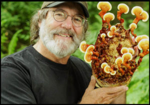 Paul Stamets tells us Mushrooms can help save the planet from a variety of harms.