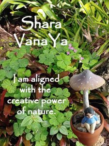 Shara Vana YA - headed for great adventurers