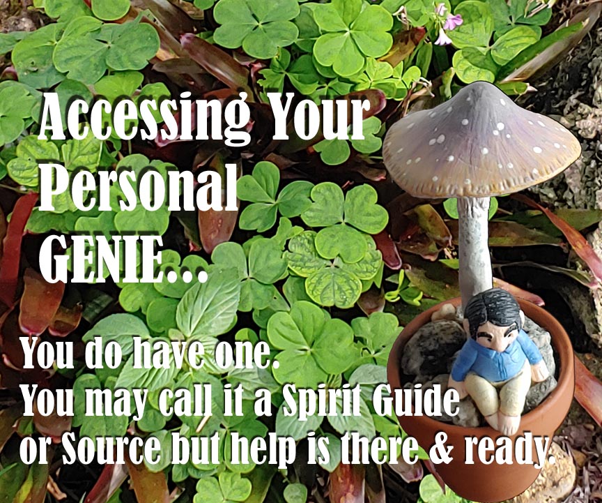 Accessing Your Personal Genie
