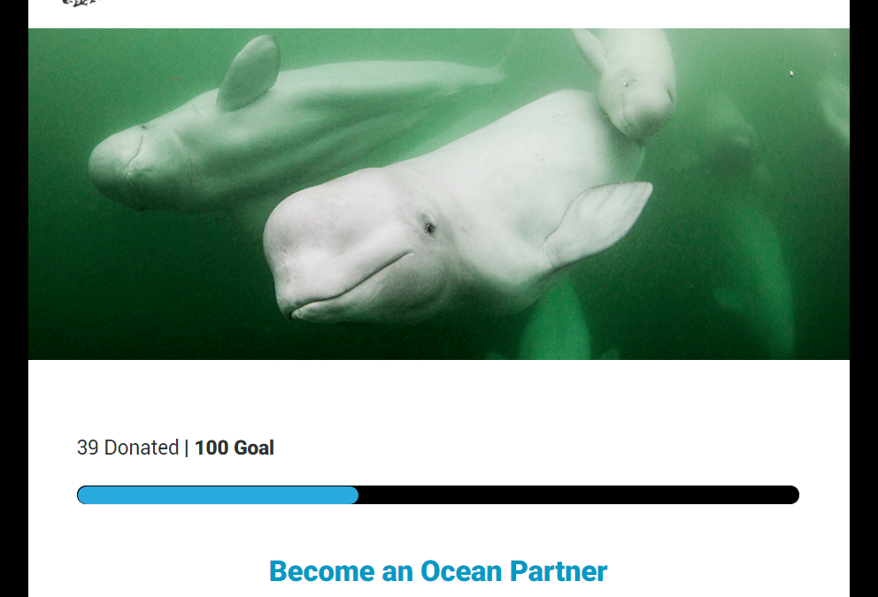 Give to help the Ocean