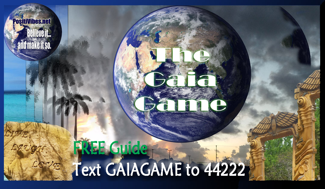 The GAIA Game